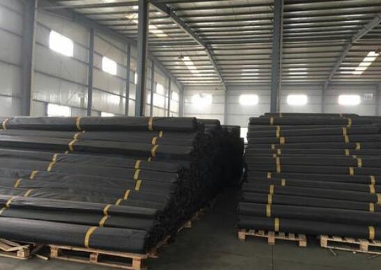 Fiberglass geogrid