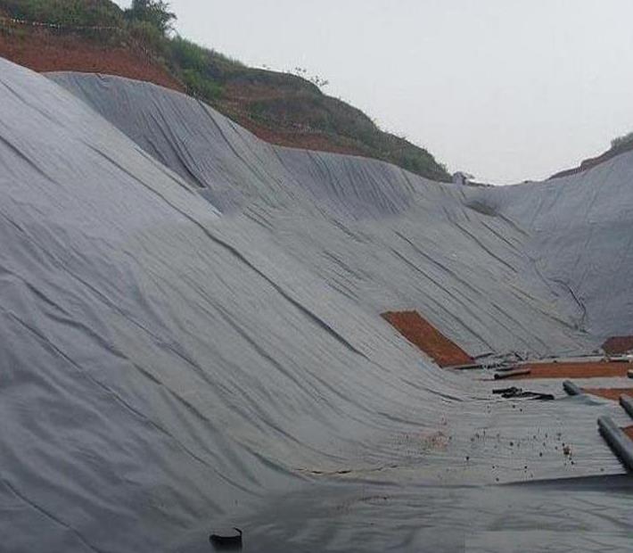 Geomembrane