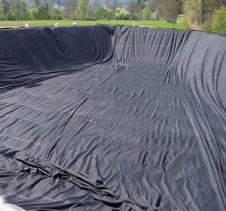 Geomembrane