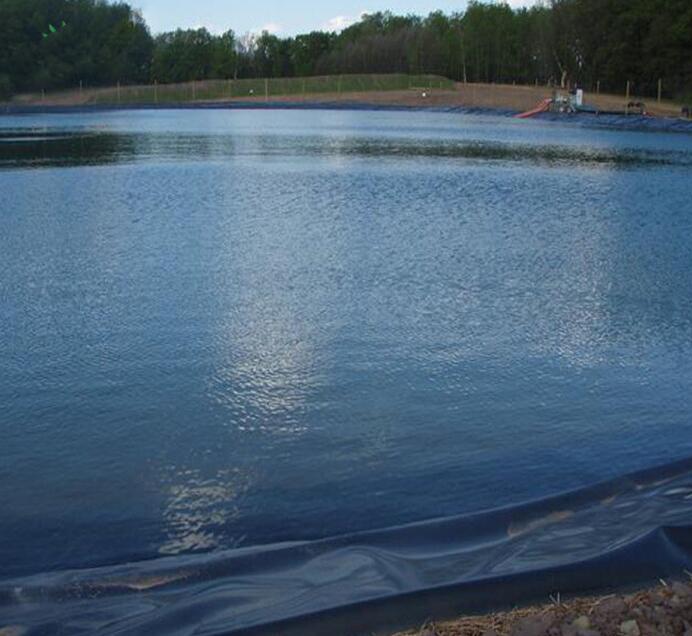 Geomembrane